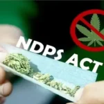 Drug Mafia's Reach Extends to School Kids: Kerala HC Upholds Bail Cancellation of NDPS Accused