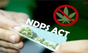 Himachal Pradesh High Court Grants Bail to Accused in NDPS Case Due to Lack of Direct Evidence