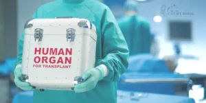 Supreme Court Seeks Report on Organ Transplant Law Implementation, Questions Gender Disparity in Transplants