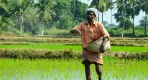 Sowing Crop Not Valid Ground for Interim Bail: Punjab & Haryana High Court Dismisses Plea in Gurmeet Singh v. State of Punjab