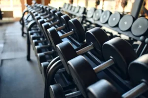 Andhra Pradesh High Court: Gym Equipment Like Treadmills and Dumbbells Are ‘Sports Goods’ Under VAT Act