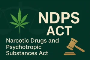 Long Jail Term Not Enough for Bail in NDPS Case, Says Kerala High Court