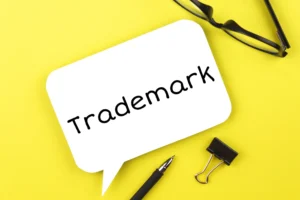 Rajasthan High Court:Trademark Cannot Be Deleted Without Prior Notice Even After Long Expiry
