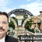 J&K High Court Quashes PSA Detention of Alleged Forest Land Encroacher, Says Liberty Can't Be Curtailed on Vague Grounds
