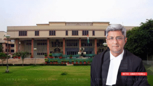 Delhi High Court Refuses Bail to Woman Accused of Handling Drug Syndicate Finances Under MCOCA