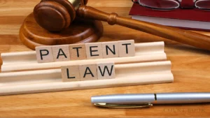 Delhi High Court Denies Patent for P2P Network User Tracking System Under Section 3(k) of Patents Act
