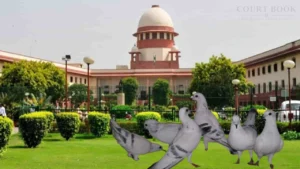 Supreme Court Backs Bombay HC Ruling on Criminal Action for Pigeon Feeding in Mumbai
