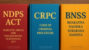 Kerala High Court Denies Statutory Bail to NDPS Accused, Rules Interim Bail Period Cannot Be Counted as Custody Under BNSS