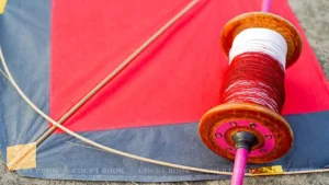 Allahabad HC Slams UP Over 'Chinese Manjha' Deaths, Seeks Strong Law and Accountability Mechanism