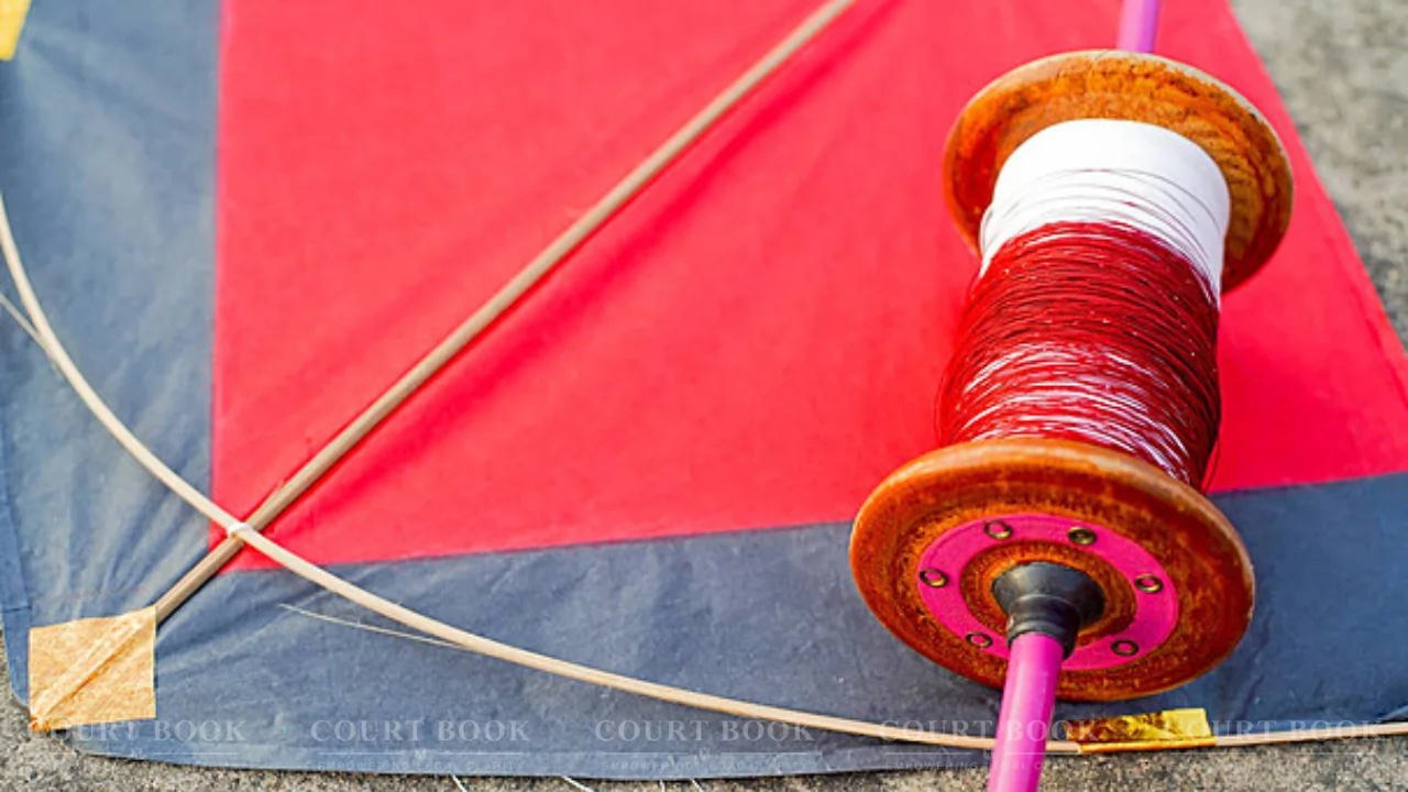 Allahabad HC Slams UP Over 'Chinese Manjha' Deaths, Seeks Strong Law and Accountability Mechanism