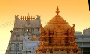 Delhi High Court Declines Immediate Gag Order in Tirupati Ghee Defamation Suit, Issues Notice to Media Defendants