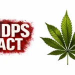 NDPS Act Doesn't Cover Bhang Under Definition of 'Cannabis (Hemp)': Jharkhand High Court