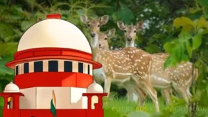 Supreme Court Clears Deer Relocation from Delhi’s Hauz Khas Park, Backs Scientific Wildlife Management