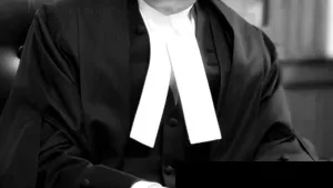 Mere Appearance for Co-Accused Son Not Fraud on Court: MP High Court Quashes Case Against Lawyer