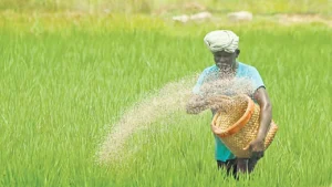 Farmer Cannot Be Left Helpless: Patna High Court Directs Bihar Govt to Identify Left-Out Crop Loss Claims