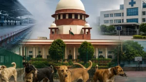 Supreme Court Upholds Stray Dog Removal Order, Allows Euthanasia of Dangerous Dogs
