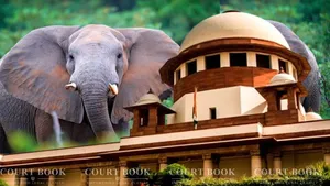 Supreme Court Holds Elephant Owner Guilty of Contempt, Orders Kerala to Take Custody of Captive Elephant Raman