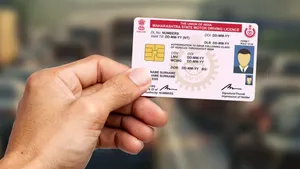 Driving Licence Cannot Be Declared Fake on Investigator's Report Alone, Insurer Must Prove It: Rajasthan HC