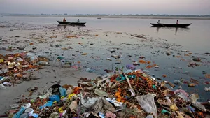 No One Has the Right to Pollute a River in the Name of Religion: Madras High Court Seeks Action to Protect Tamirabarani
