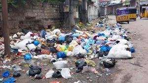Bombay High Court Flags BMC Inaction On Garbage Dumping, Orders Accountability Of Ward Officers