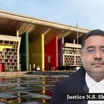 P&H High Court Bars Rohtak Judges From Hearing Bail Pleas in Real Estate Fraud Case